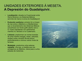 UNIDADES EXTERIORES Á MESETA.
A Depresión do Guadalquivir.
● Localización: situada no S peninsular entre
Sierra Morena e os Sistemas Béticos
servindo de marco á conca do Gualdalquivir
● Evolución xeolóxica: primeiro foi un brazo
de mar entre o Atlántico e o Mediterráneo
que co levantamento dos Sistemas Béticos
convertiuse nun fondo golfo aberto cara o
O. Foise colmatando con sedimentos
mariños no Terciario e no Cuaternario.
● Litoloxía: predominan as rochas brandas
de orixe mariña (margas, areas, calcarias,
arxilas) onde a erosión fluvial actuou
profundamente e orixinou varios niveis de
terrazss.
● Modelado: predomina unha estensa
campiña cha que, a medida que nos
achegamos ao Atlántico, deixa paso a unha
paisaxe de marismas.
 