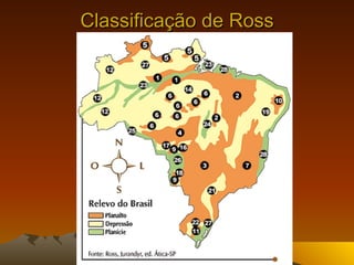 Classificação de Ross 