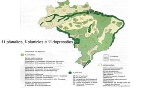 11 planaltos, 6 planícies e 11 depressões
 