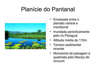 Planície do Pantanal
          • Encaixada entre o
            planalto central e
            meridional
          • Inundada periodicamente
            pelo rio Paraguai
          • Altitude média de 110m
          • Terreno sedimentar
            recente
          • Monotonia da paisagem é
            quebrada pelo Maciço de
            Urucum
 