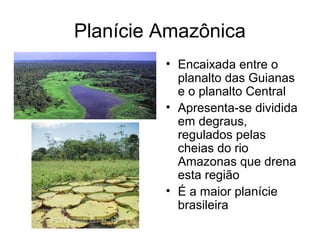 Planície Amazônica
         • Encaixada entre o
           planalto das Guianas
           e o planalto Central
         • Apresenta-se dividida
           em degraus,
           regulados pelas
           cheias do rio
           Amazonas que drena
           esta região
         • É a maior planície
           brasileira
 