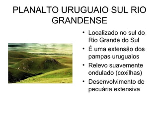 PLANALTO URUGUAIO SUL RIO
       GRANDENSE
             • Localizado no sul do
               Rio Grande do Sul
             • É uma extensão dos
               pampas uruguaios
             • Relevo suavemente
               ondulado (coxilhas)
             • Desenvolvimento de
               pecuária extensiva
 