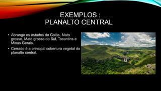 EXEMPLOS :
PLANALTO CENTRAL
• Abrange os estados de Goiás, Mato
grosso, Mato grosso do Sul, Tocantins e
Minas Gerais.
• Cerrado é a principal cobertura vegetal do
planalto central.
 