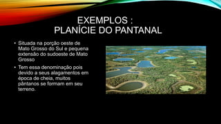 EXEMPLOS :
PLANÍCIE DO PANTANAL
• Situada na porção oeste de
Mato Grosso do Sul e pequena
extensão do sudoeste de Mato
Grosso
• Tem essa denominação pois
devido a seus alagamentos em
época de cheia, muitos
pântanos se formam em seu
terreno.
 