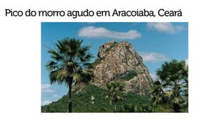Relevo do brasil