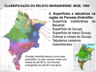 CLASSIFICAÇÃO DO RELEVO MARANHENSE: IBGE, 1989

2. Superfícies e tabuleiros na
região da Floresta Ombrófila:
- Superfície sublitorânea de
Bacabal;
- Superfície do Gurupi;
- Superfície do baixo Gurupi;
- Colinas e cristas do Gurupi;
- Tabuleiros costeiros
maranhenses.

Floresta ombrófila densa é uma mata
perenifólia, ou seja: sempre verde com
dossel de até 50 m, com árvores
emergentes de até 40 m de altura
Fonte: IBGE, 1998

 
