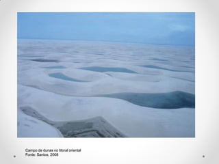 Campo de dunas no litoral oriental
Fonte: Santos, 2008

 