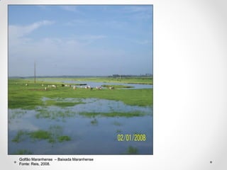 Golfão Maranhense – Baixada Maranhense
Fonte: Reis, 2008.

 