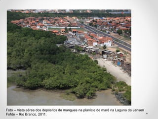 Foto – Vista aérea dos depósitos de mangues na planície de maré na Laguna da Jansen
Fonte – Rio Branco, 2011.

 