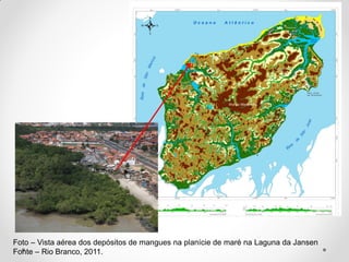 Foto – Vista aérea dos depósitos de mangues na planície de maré na Laguna da Jansen
Fonte – Rio Branco, 2011.

 