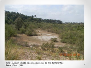Foto – Apicum situado na porção sudoeste da Ilha do Maranhão
Fonte - Silva, 2011

 