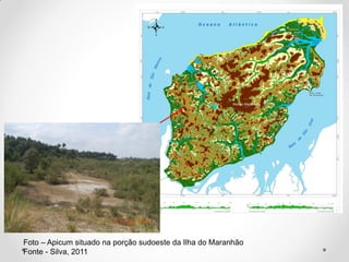 Foto – Apicum situado na porção sudoeste da Ilha do Maranhão
Fonte - Silva, 2011

 