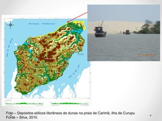 Foto – Depósitos eólicos litorâneos de dunas na praia de Carimã, ilha de Curupu
Fonte – Silva, 2010.

 