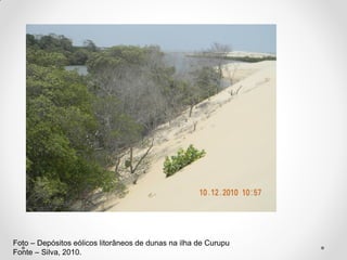 Foto – Depósitos eólicos litorâneos de dunas na ilha de Curupu
Fonte – Silva, 2010.

 