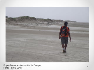 Foto – Dunas frontais na ilha de Curupu
Fonte – Silva, 2010.

 