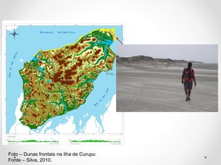 Foto – Dunas frontais na ilha de Curupu
Fonte – Silva, 2010.

 