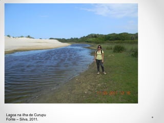 Lagoa na ilha de Curupu
Fonte – Silva, 2011.

 