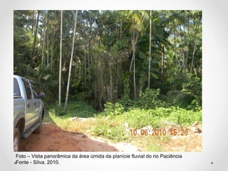 Foto – Vista panorâmica da área úmida da planície fluvial do rio Paciência
Fonte - Silva, 2010.

 