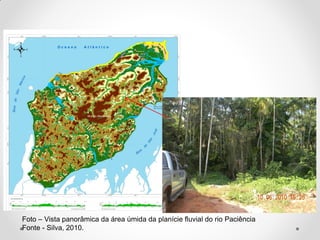 Foto – Vista panorâmica da área úmida da planície fluvial do rio Paciência
Fonte - Silva, 2010.

 