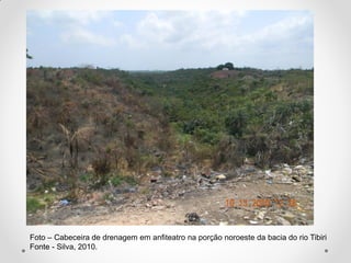 Foto – Cabeceira de drenagem em anfiteatro na porção noroeste da bacia do rio Tibiri
Fonte - Silva, 2010.

 