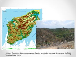 Foto – Cabeceira de drenagem em anfiteatro na porção noroeste da bacia do rio Tibiri
Fonte - Silva, 2010.

 