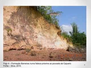 Foto 4 – Formação Barreiras numa falésia próxima ao povoado de Cajueiro
Fonte – Silva, 2010.

 