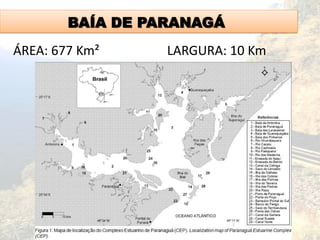 BAÍA DE PARANAGÁ
ÁREA: 677 Km² LARGURA: 10 Km
 