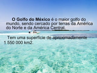 O Golfo do México é o maior golfo do
 mundo, sendo cercado por terras da América
 do Norte e da América Central.

  Tem uma superfície de aproximadamente
1 550 000 km2.
 
