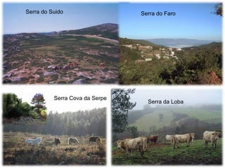 Serra do Suido Serra do Faro Serra Cova da Serpe Serra da Loba 