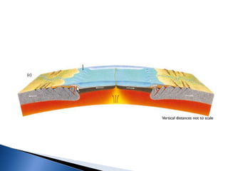 América
do Sul    plataforma
                            África
          continental




          As placas são criadas
          nas dorsais meso-
          oceânicas
 