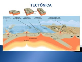 TECTÔNICA
 
