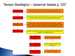 Tempo Geológico – observar tabela p. 237
 