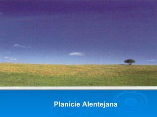 Planície Alentejana 