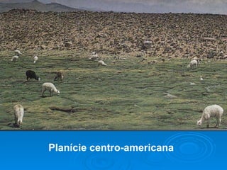 Planície centro-americana 