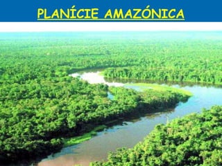 PLANÍCIE AMAZÓNICA 