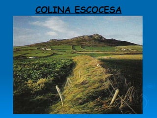 COLINA ESCOCESA 