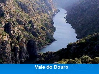Vale do Douro 