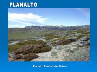 Planalto Central das Beiras PLANALTO 