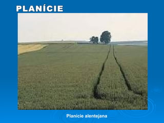 PLANÍCIE Planície alentejana 