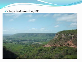  Chapada do Araripe / PE
 