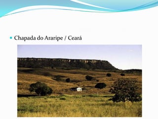  Chapada do Araripe / Ceará
 