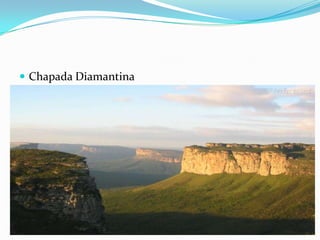  Chapada Diamantina
 