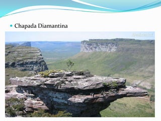  Chapada Diamantina
 