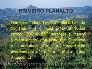 PRIMEIRO PLANALTO
●
Primeiro planalto ou planalto de
Curitiba – é o mais alto (altitudes
entre 1300 e 850 metros) e menor
(em extensão) dos planaltos. O relevo
é ondulado e a vegetação
predominante é a Mata das
Araucárias.
 