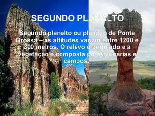 SEGUNDO PLANALTO
Segundo planalto ou planalto de Ponta
Grossa – as altitudes variam entre 1200 e
300 metros. O relevo é ondulado e a
vegetação é composta por Araucárias e
campos.
 