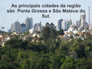 As principais cidades da região
são Ponta Grossa e São Mateus do
Sul.
 