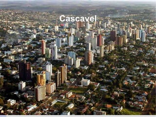 Cascavel
 