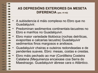 AS DEPRESIÓNS EXTERIORES DA MESETA
DIFERENCIA (páx. 41-42)
• A subisdencia é máis complexa no Ebro que no
Guadalquivir.
• Predominan sedimentos continentais-lacustres no
Ebro e mariños no Guadalquivir.
• Ebro maior variedade litolóxica (rochas detríticas,
evaporitas e calcarias lacustre) Guadalquivir
sedimentos finos margosos e arxilosos.
• Guadalquivir chairas e outeiros redondeadas e de
pendentes suaves. Ebro: mesas, costas e crestas.
• Ebro máis pechado ao mar (Cordilleira Costeira
Catalana (Mequinenza encaixase coa Serra do
Maestrazgo. Guadalquivir ábrese cara o Atlántico.
 