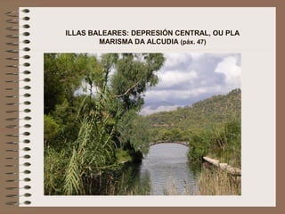 ILLAS BALEARES: DEPRESIÓN CENTRAL, OU PLA
MARISMA DA ALCUDIA (páx. 47)
 