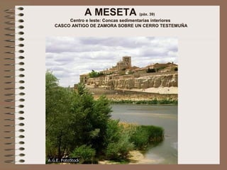 A MESETA (páx. 39)
Centro e leste: Concas sedimentarias interiores
CASCO ANTIGO DE ZAMORA SOBRE UN CERRO TESTEMUÑA
 